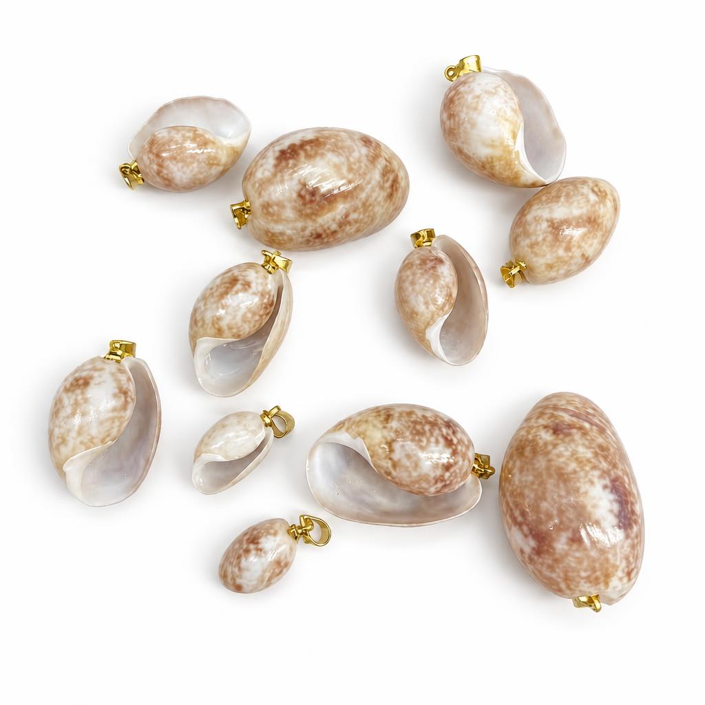 23:Belly snail-gold buckle