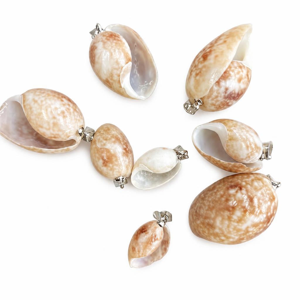24:Belly snail-silver buckle
