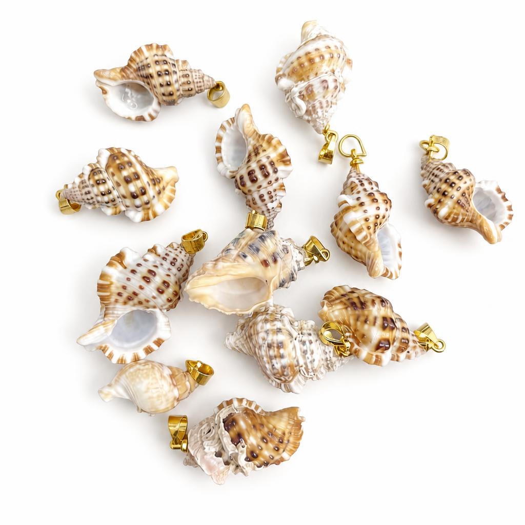 27:Ear snail-gold buckle