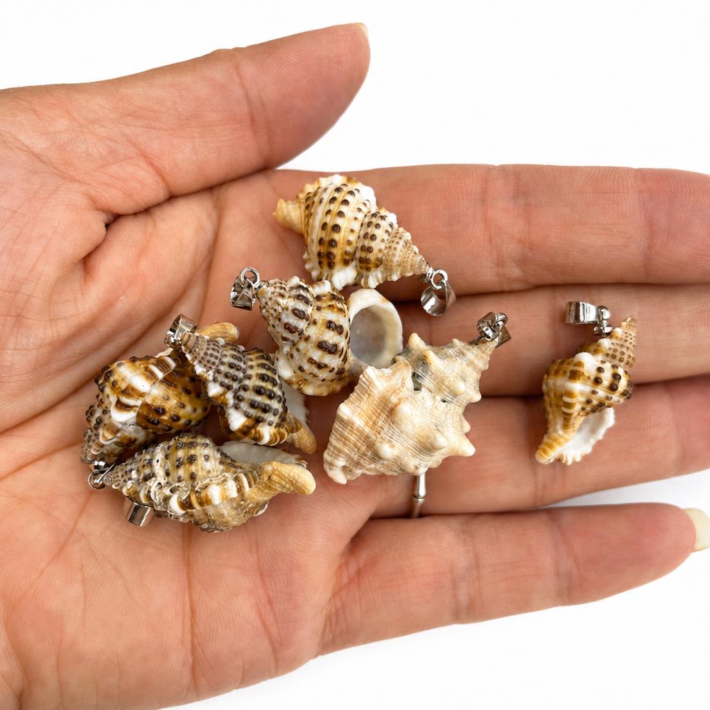 28:Ear snail-silver buckle