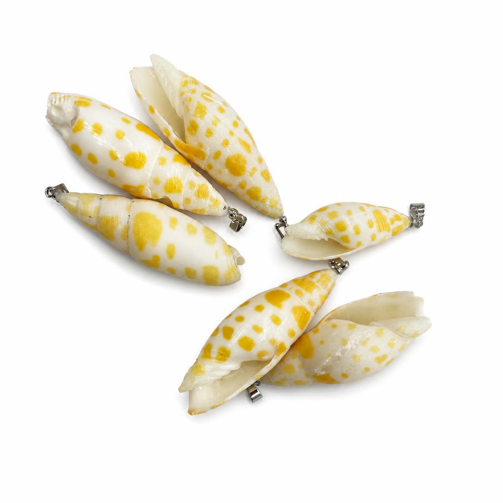 30:Pen snail-silver buckle