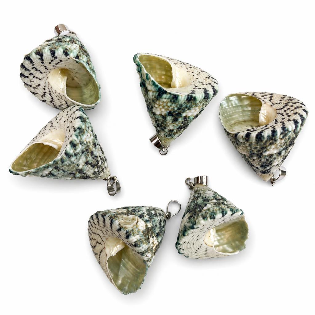 32:Ding gongta snail-silver buckle