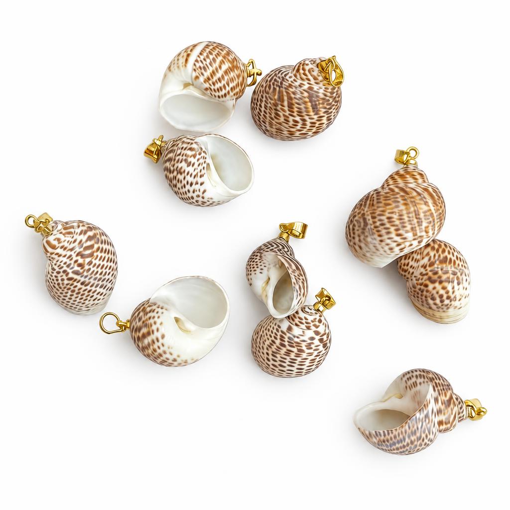 35:White spot snail-gold buckle
