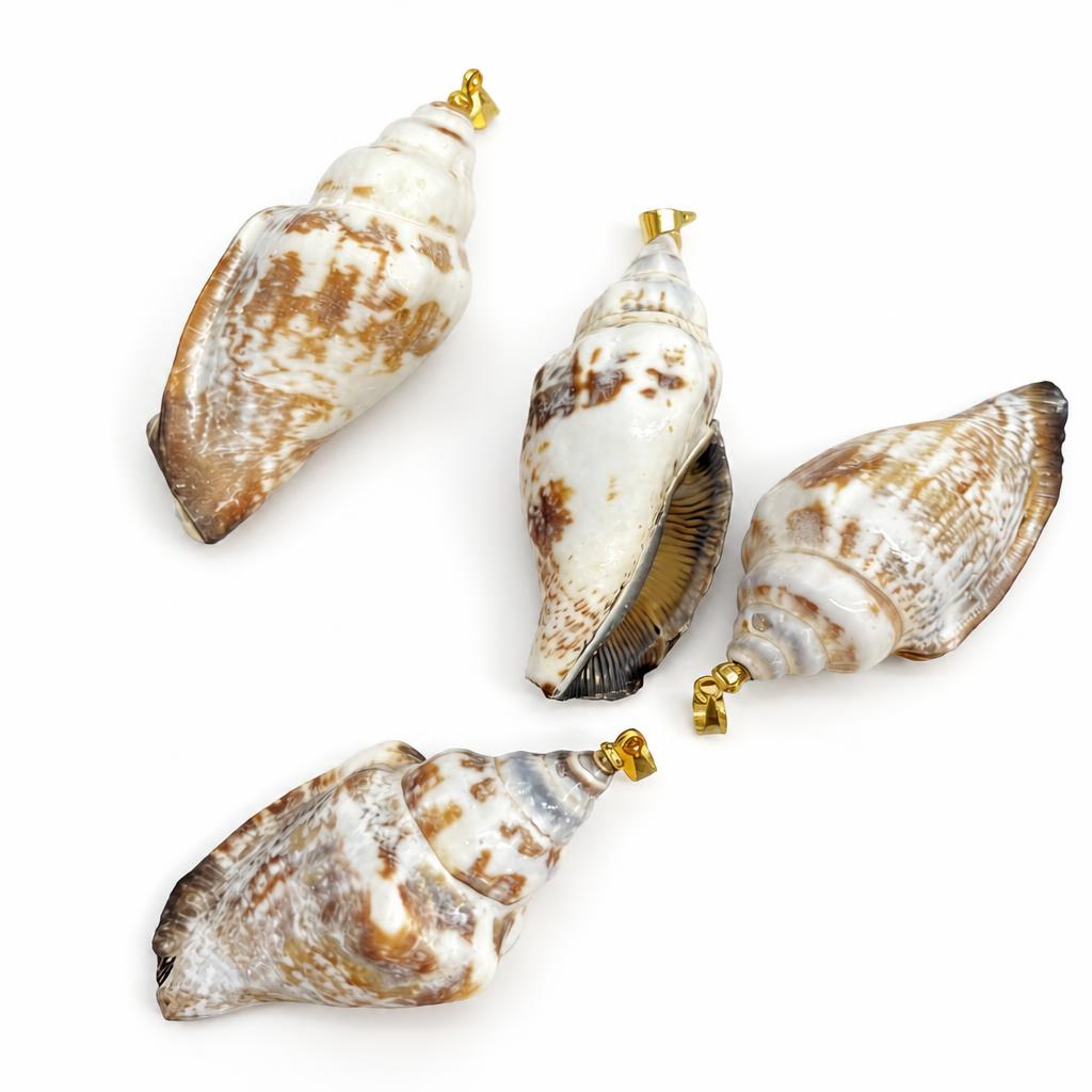 36:Black-mouthed snail-golden buckle
