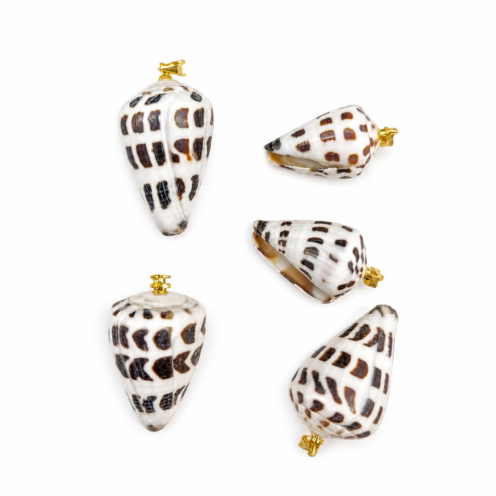 38:Chicken heart snail-gold buckle