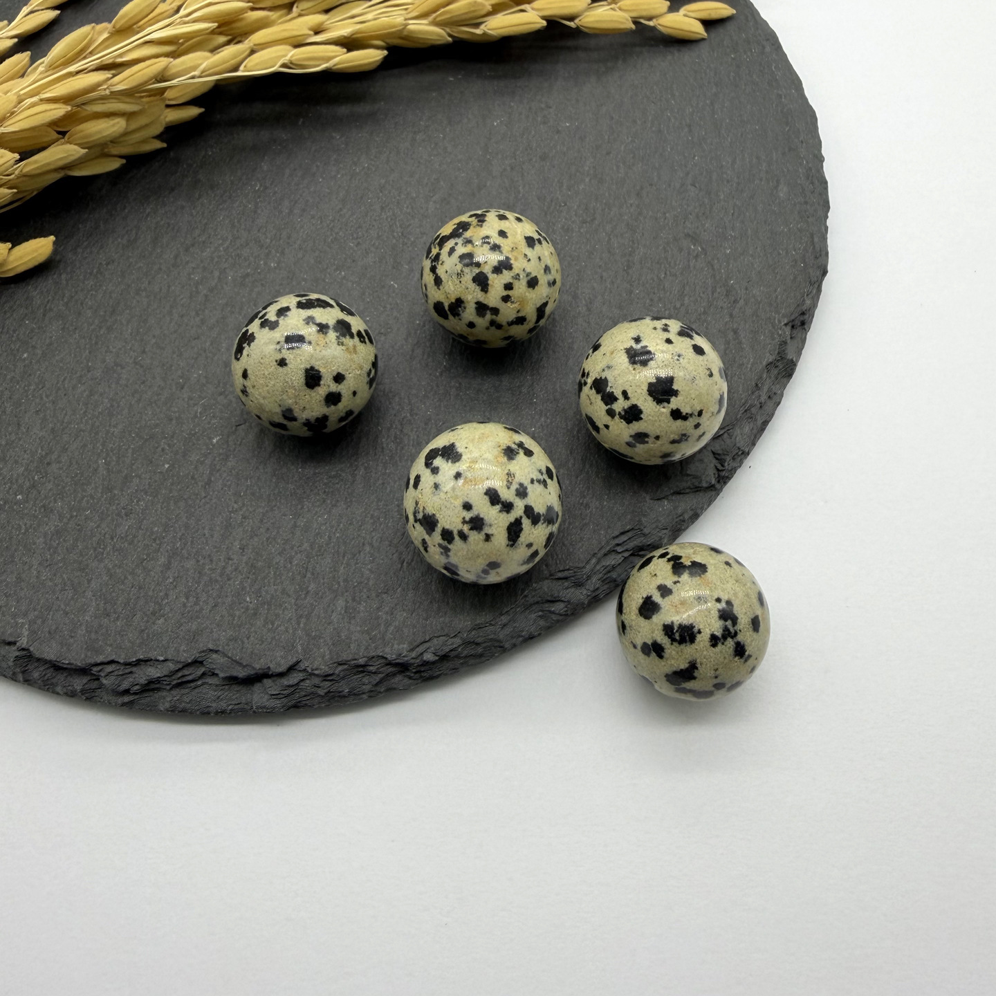 3:One spotted stone