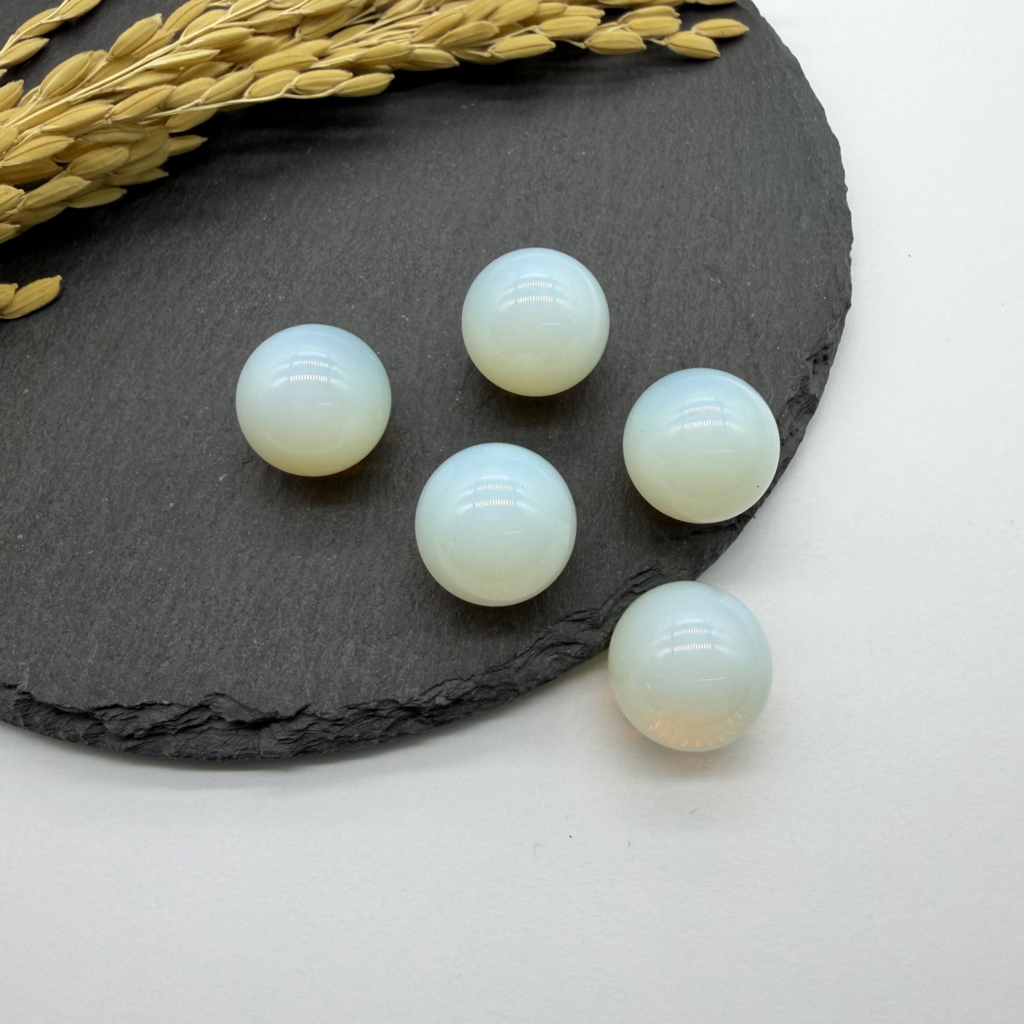 5:Opal one