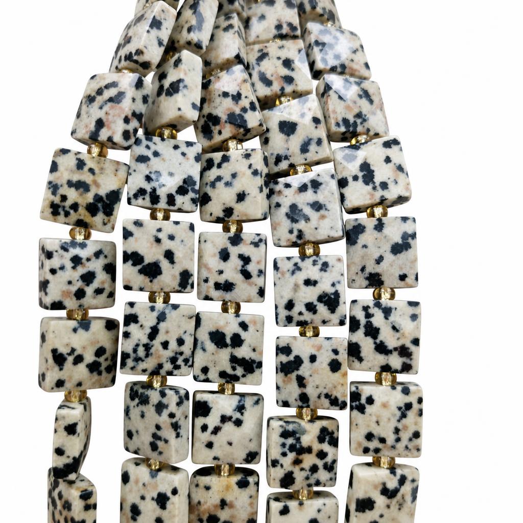 6:Dalmatian
