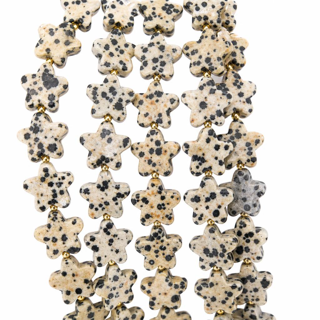 2:Dalmatian