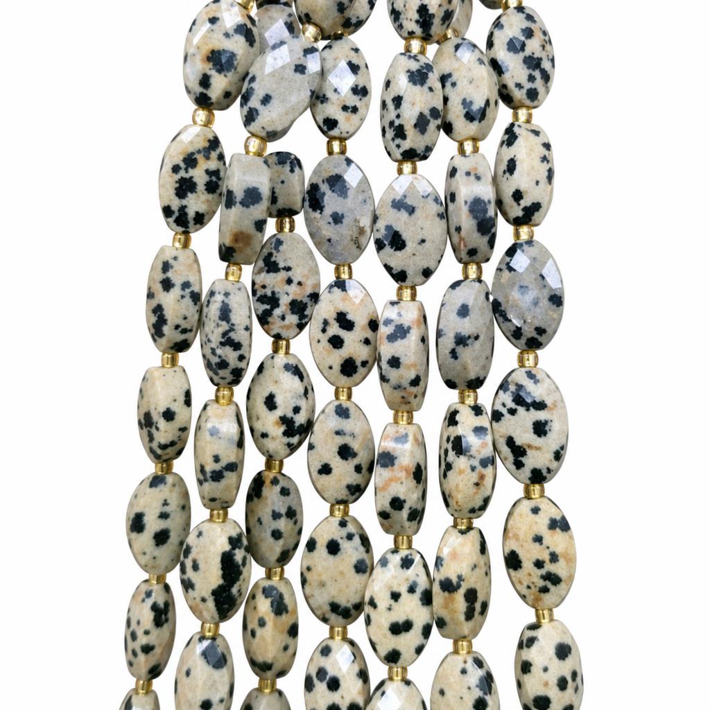 4:Dalmatian