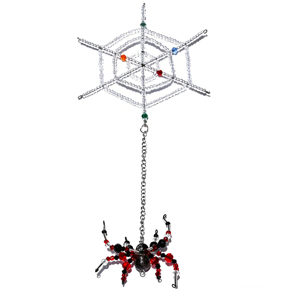 11:Colorful spider web + black and white brown spider