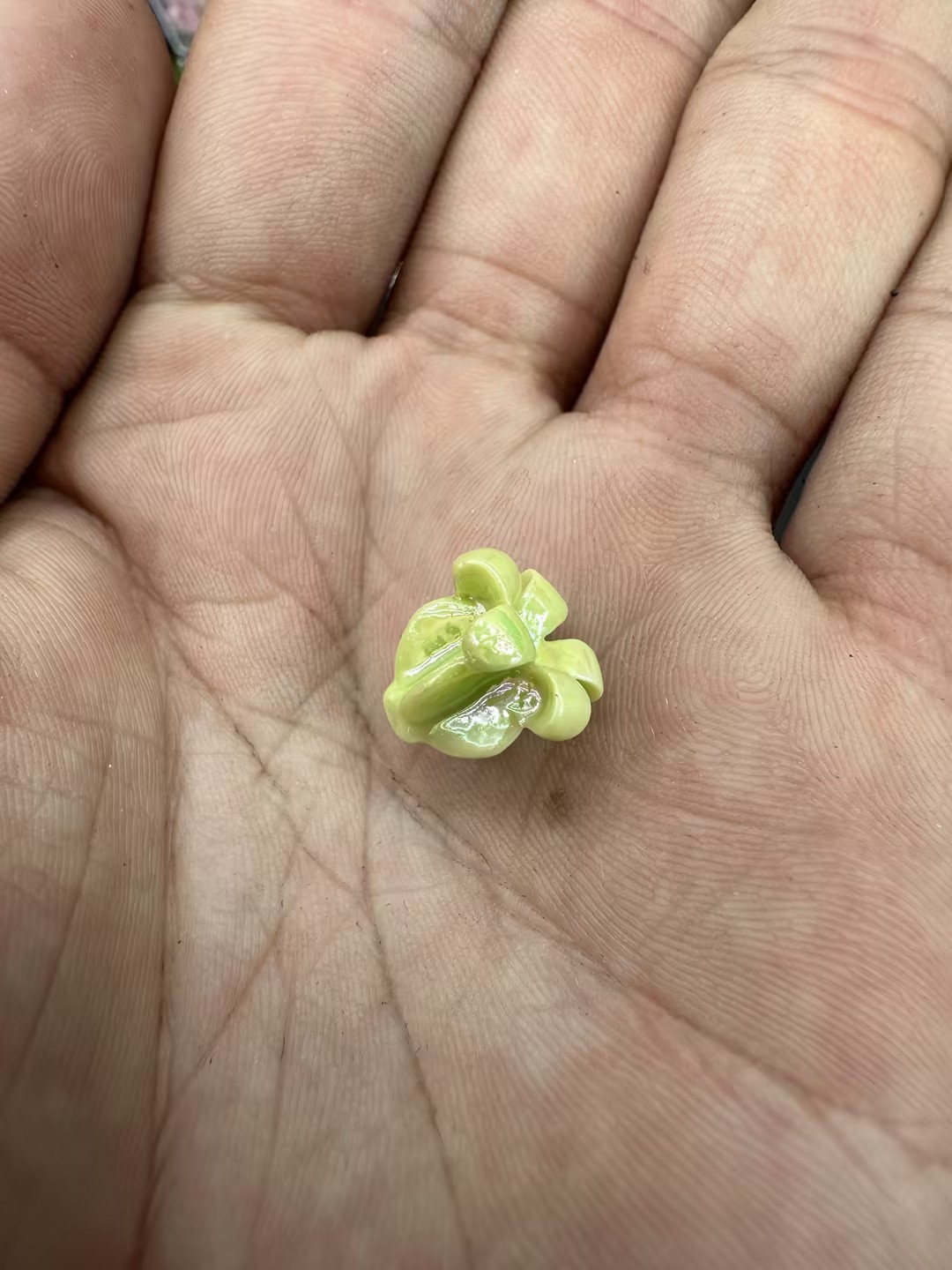 6:6
