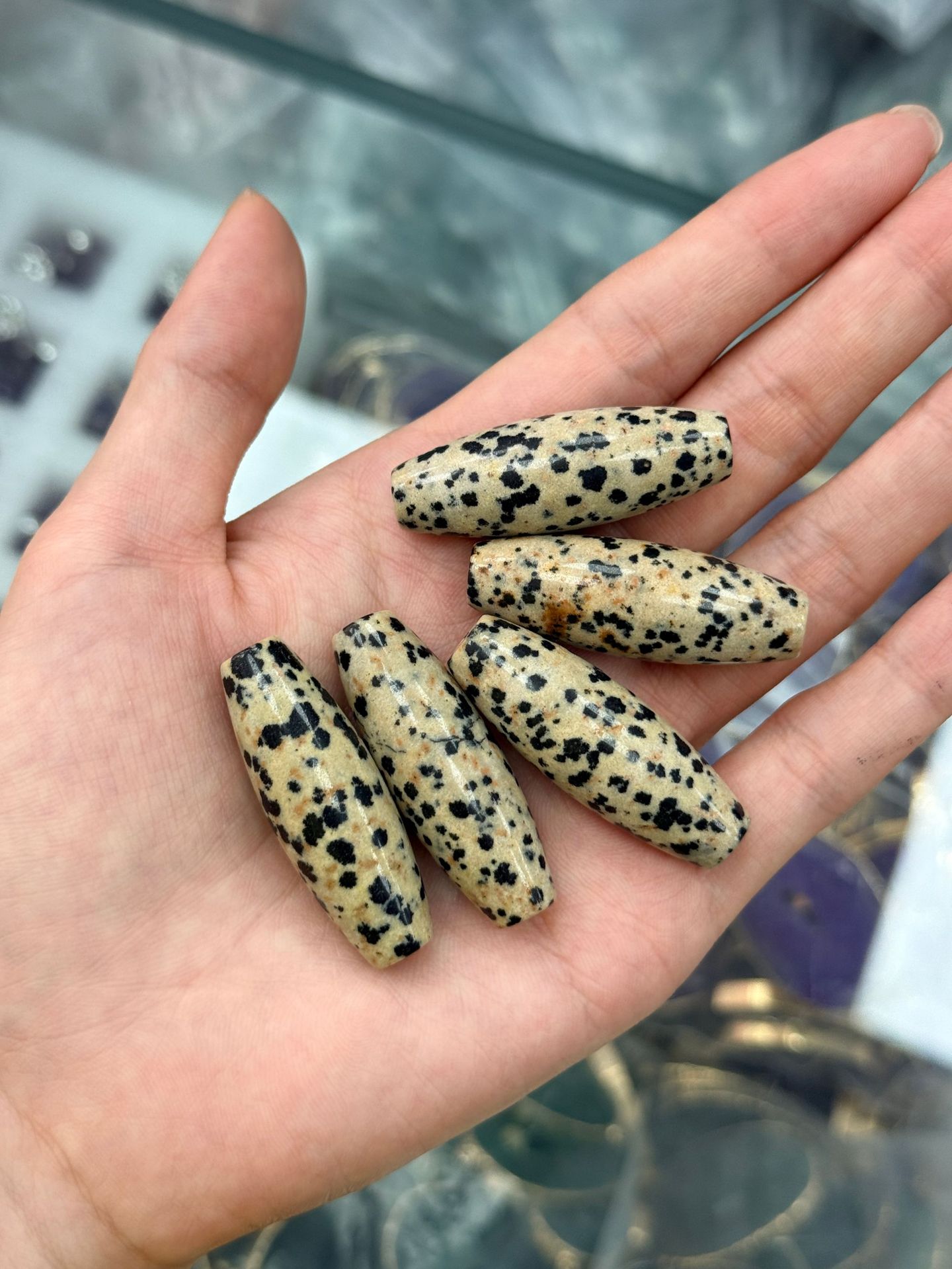 10:dalmatian