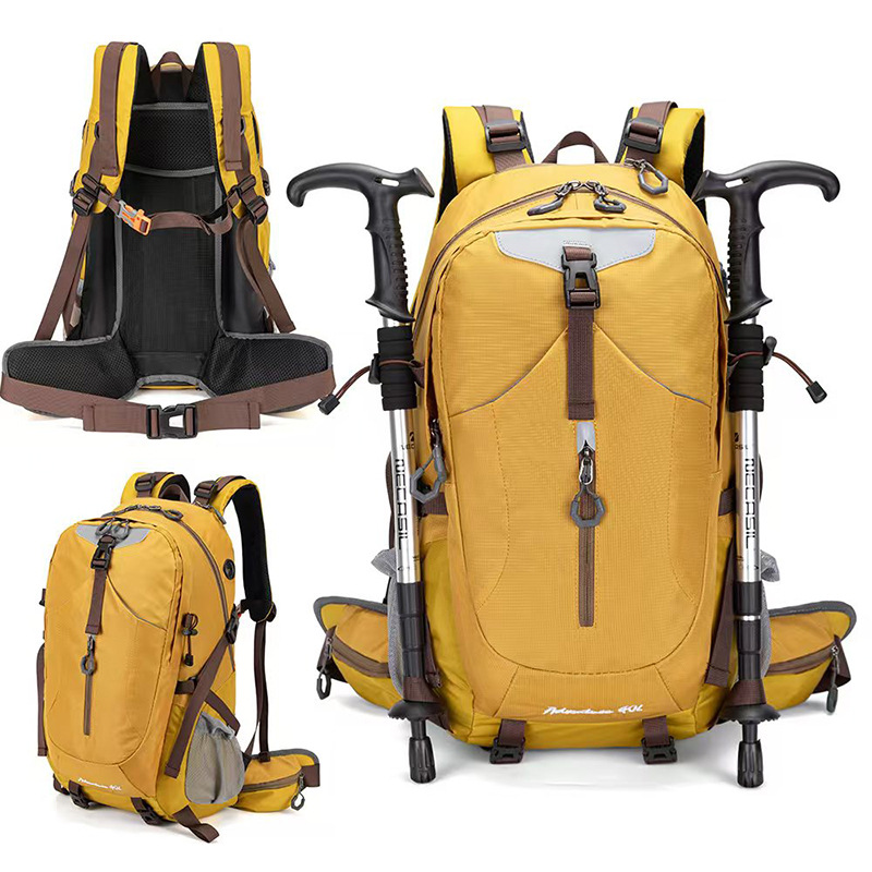 628 ginger yellow