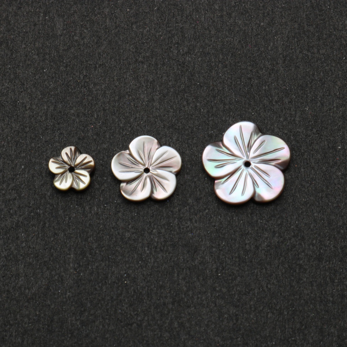 Black bay five-petal flower (12mm)