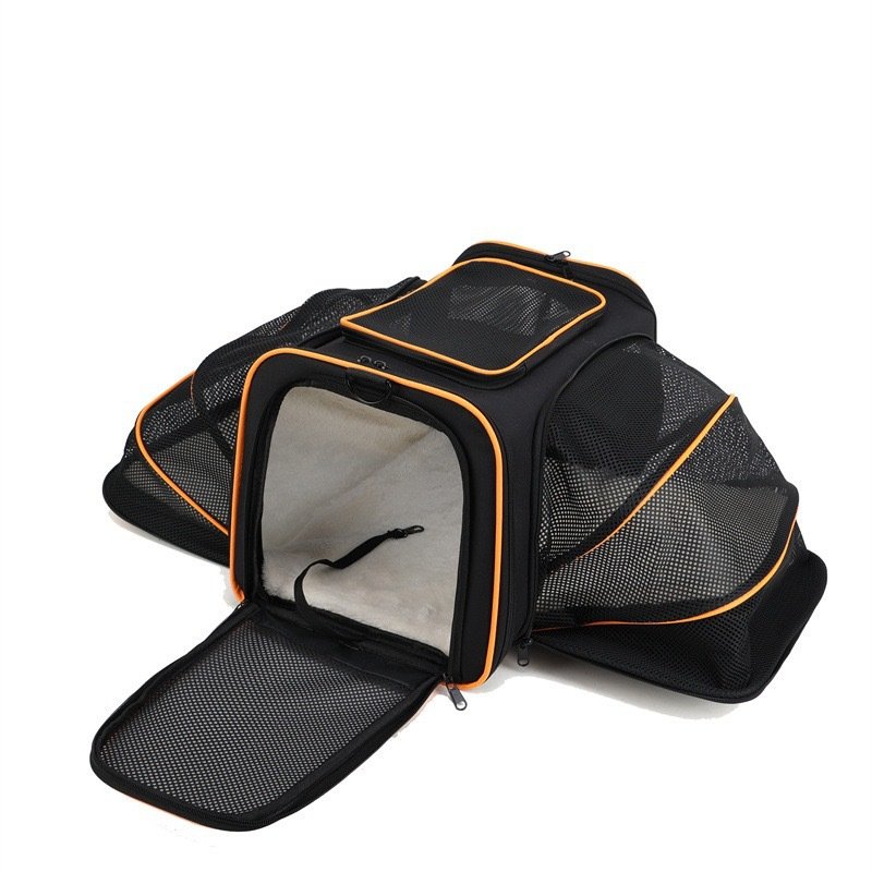 Black hit orange