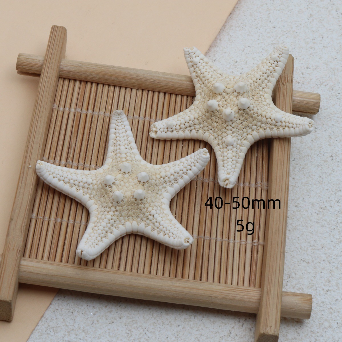 Starfish 40-50mm (random)