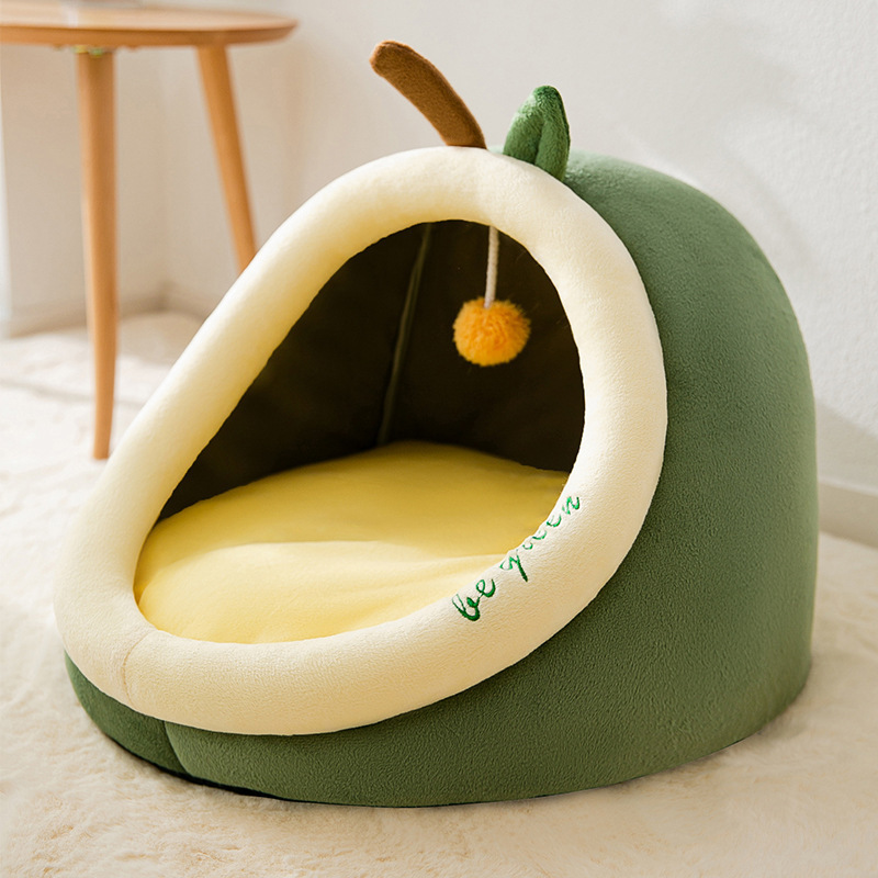 Avocado [upgrade]]