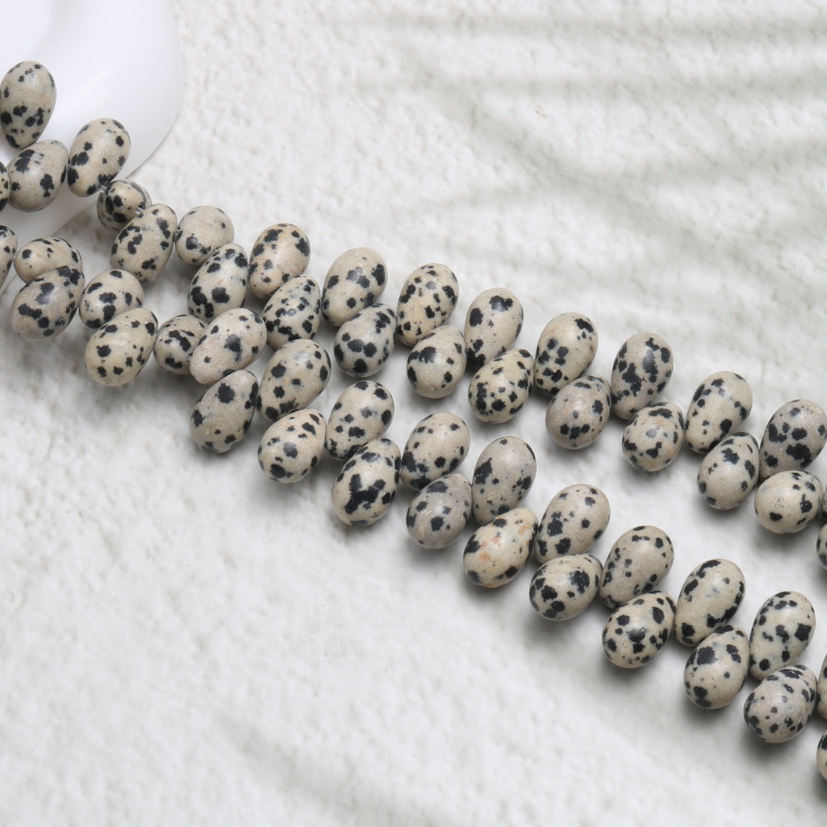 5:dalmatian
