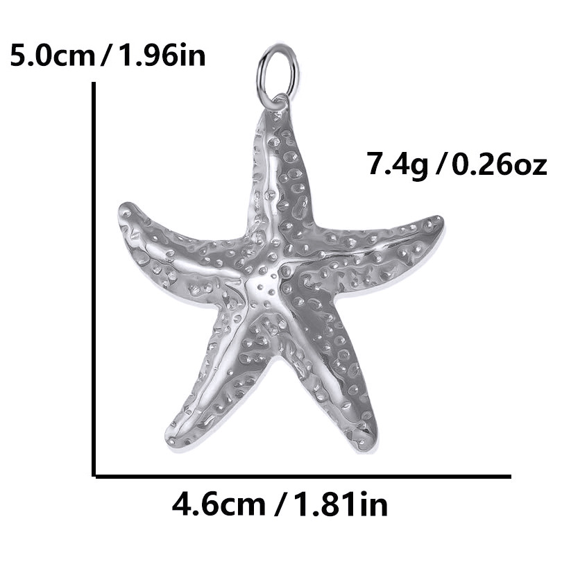 27:Steel color - big starfish