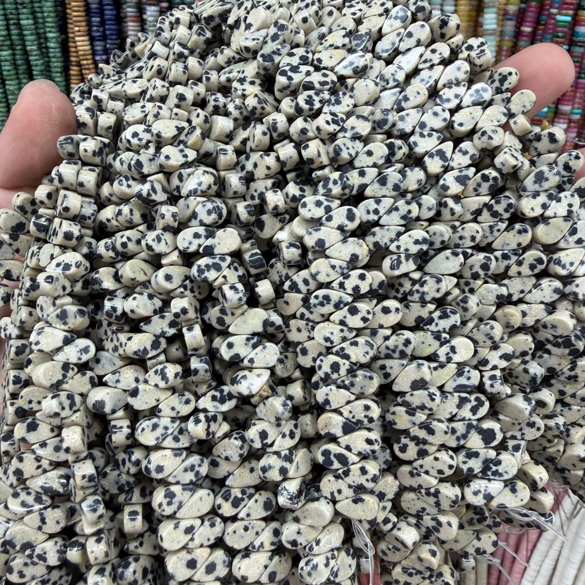14:Dalmatische