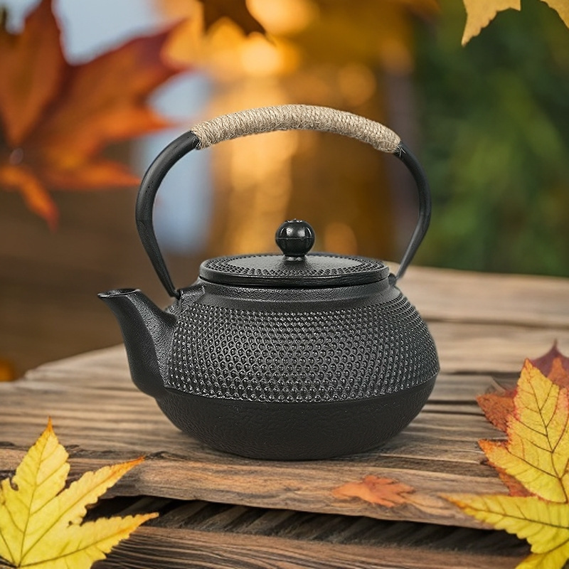 cast iron teapot with filter
