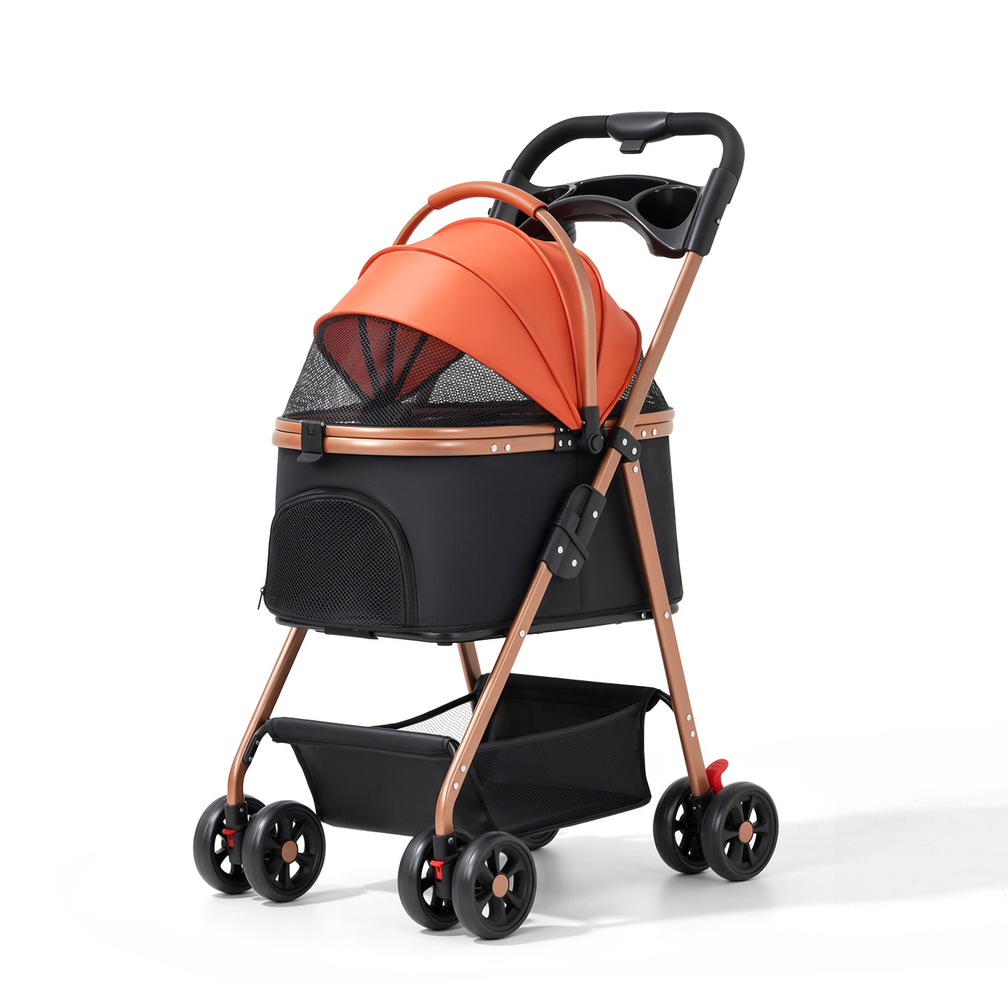 D01-orange