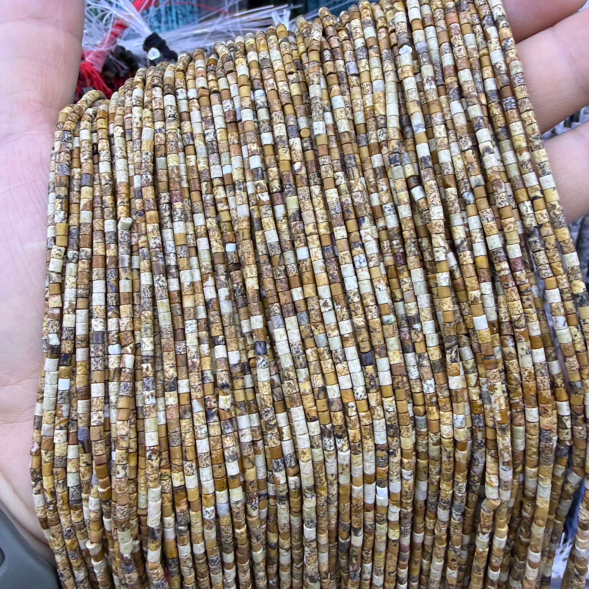 16:Picture Jasper