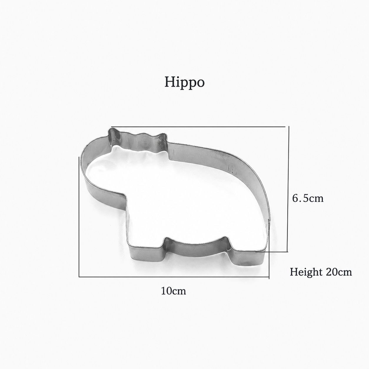 Hippopotamus