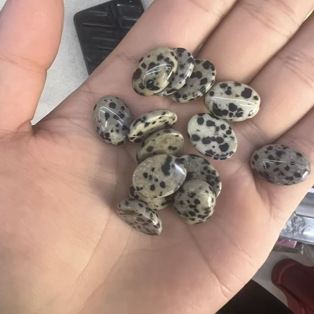 27:Dalmatian