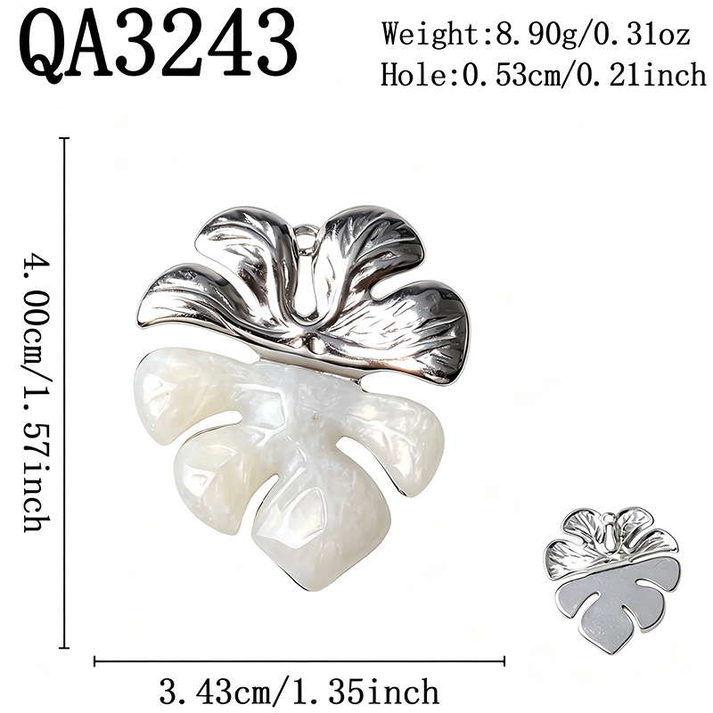19:QA3243 Steel Color