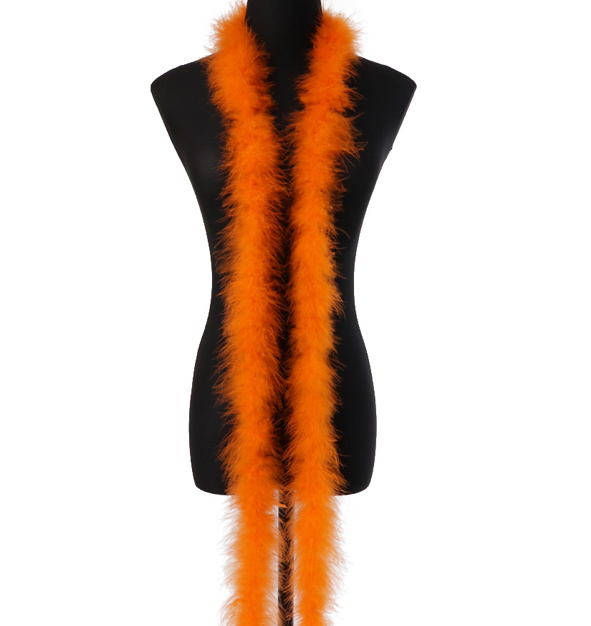 Orange 11