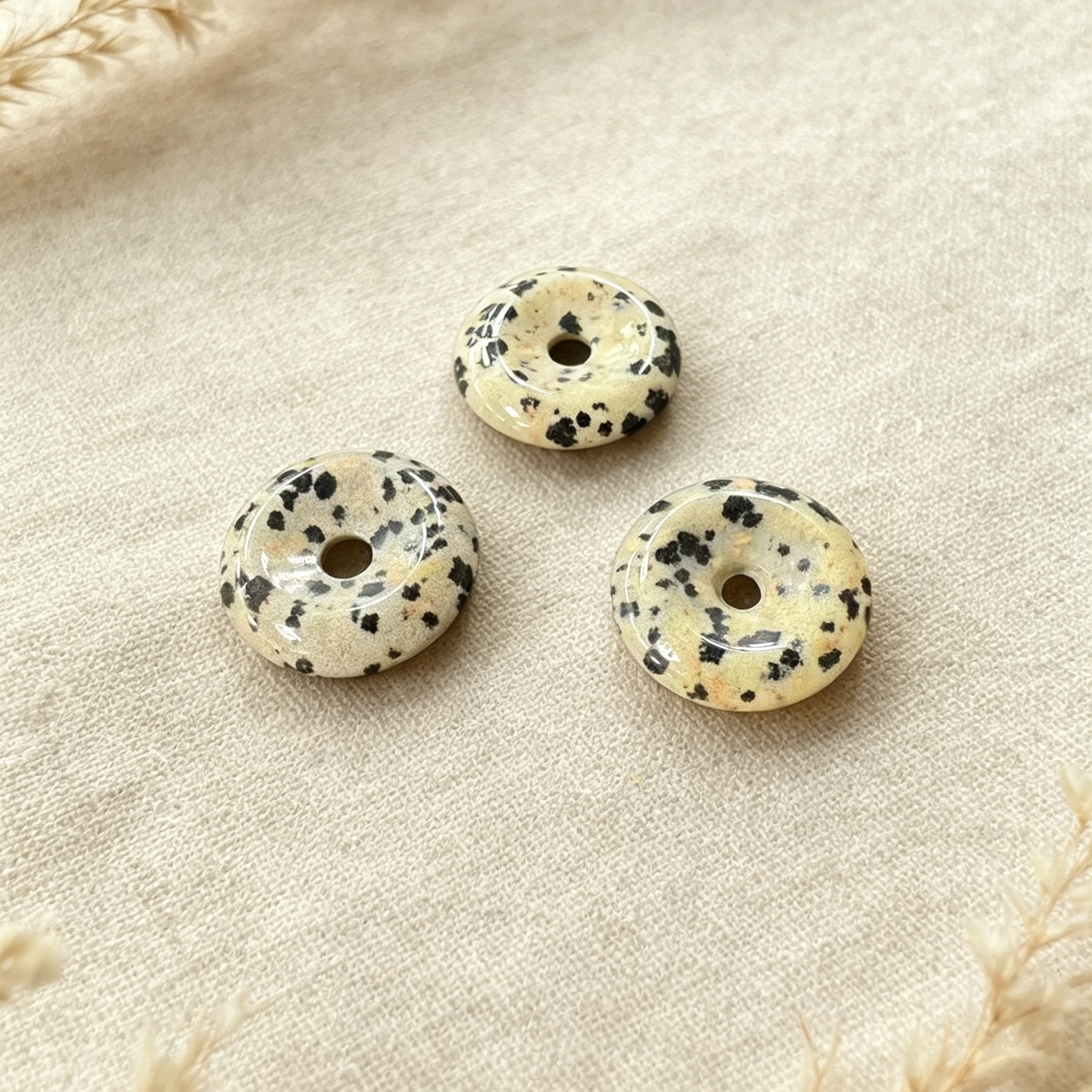 23:dalmatian