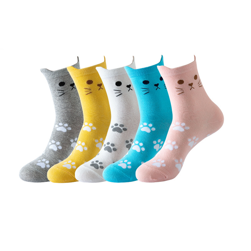 Footprints cat