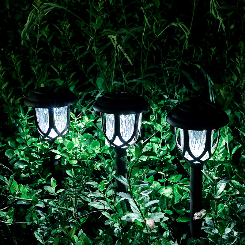 Coffee lawn light white light