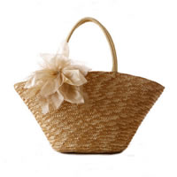 Fashion Woven Bag