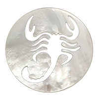 White Shell Cabochon