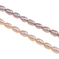 Rice Cultured Freshwater Pearl Beads