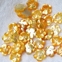 Shell Beads