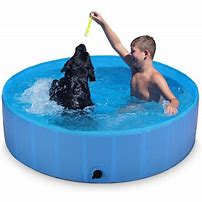 Pet Swimming Pools