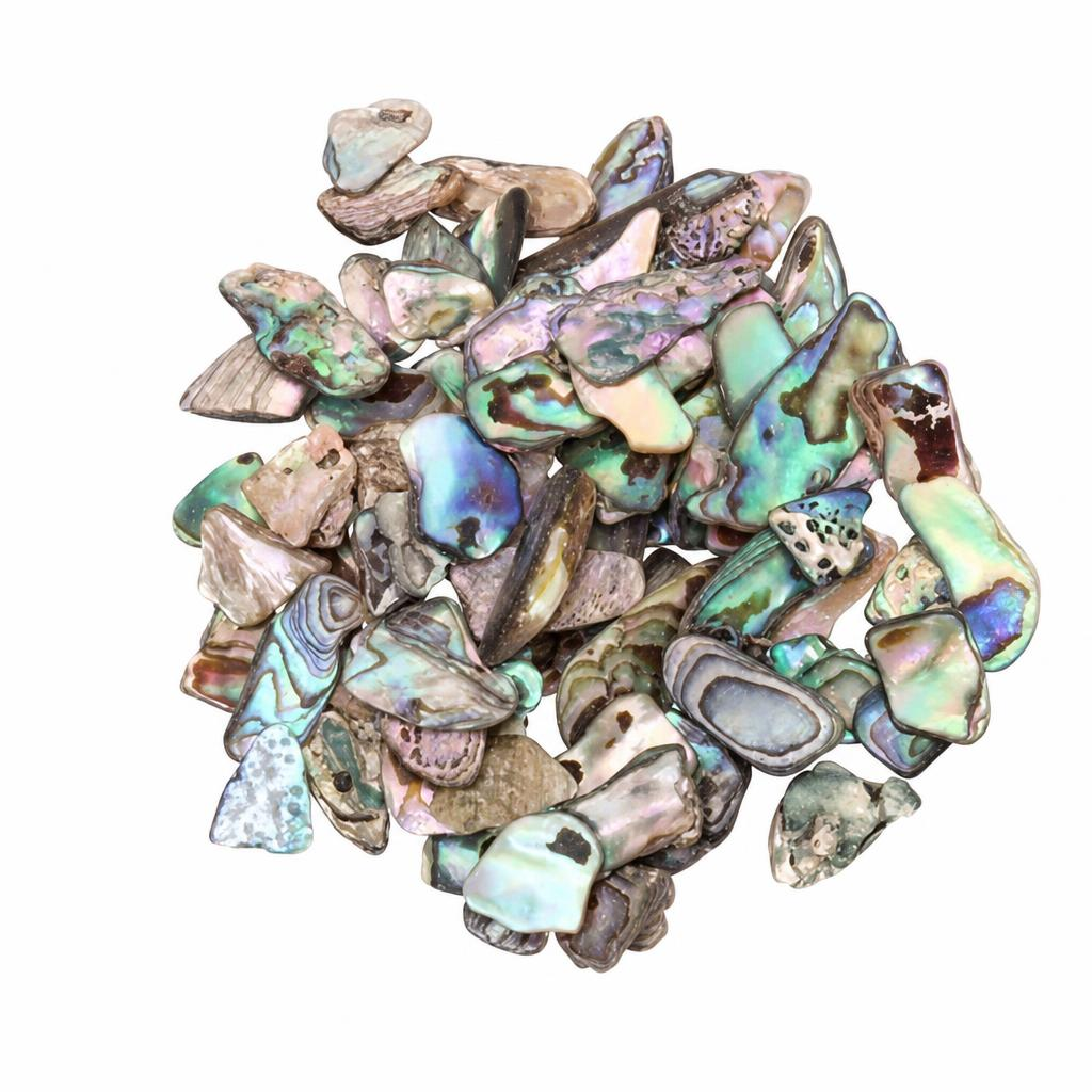Abalone Shell Chips