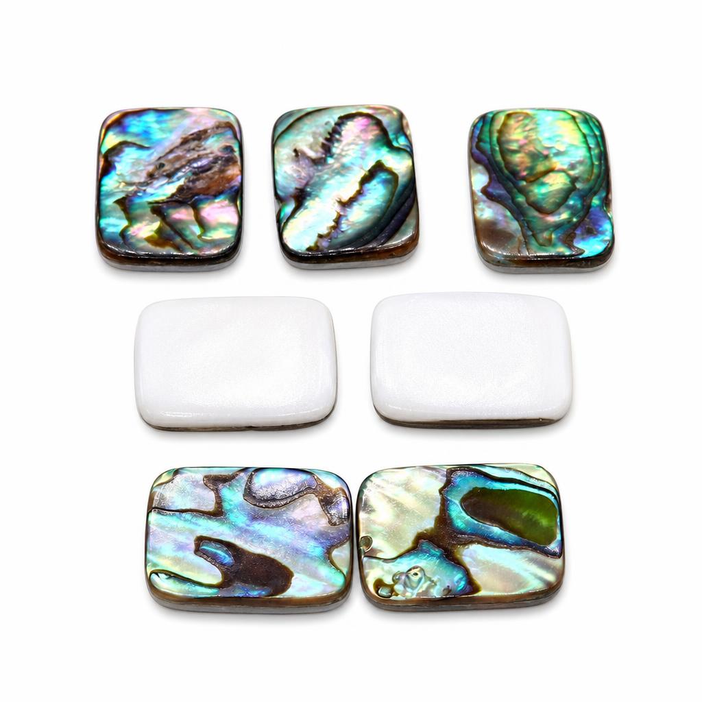 Abalone Shell Cabochon