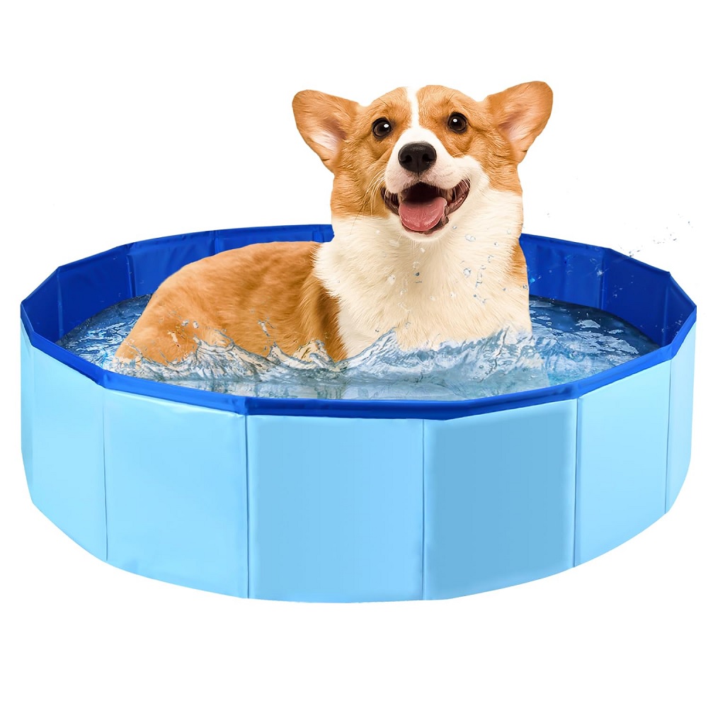 Pet Swimming Pools